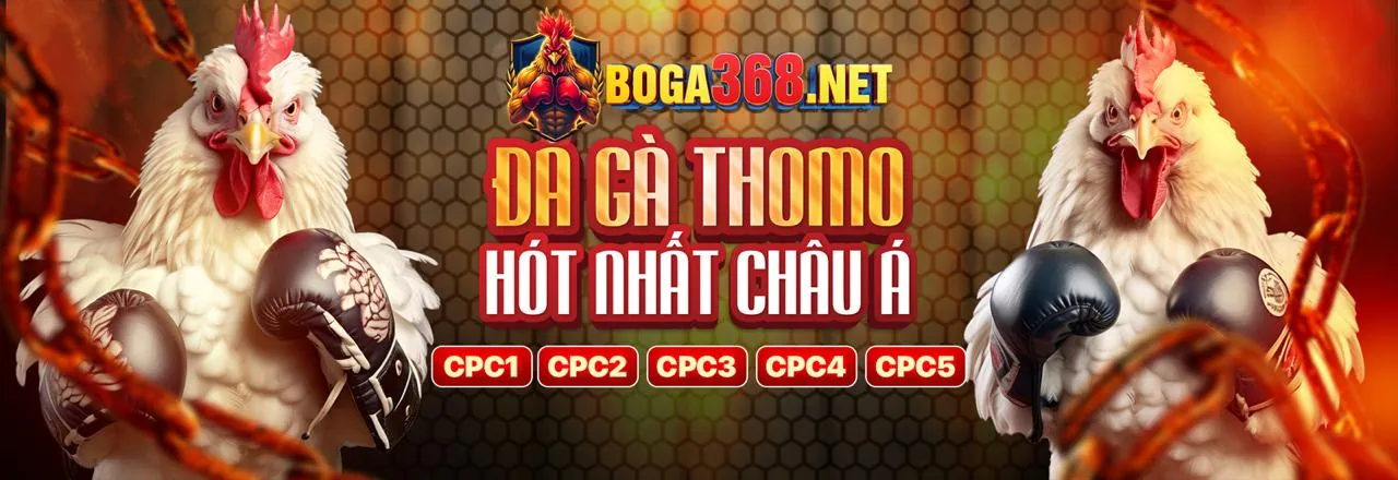 Đá gà trực tuyến nap88 win với những trận đấu sôi động và kịch tính
